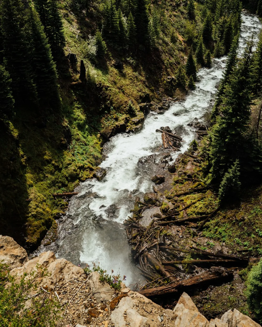 A river flowing through a pine-covered canyon in Bend, Oregon